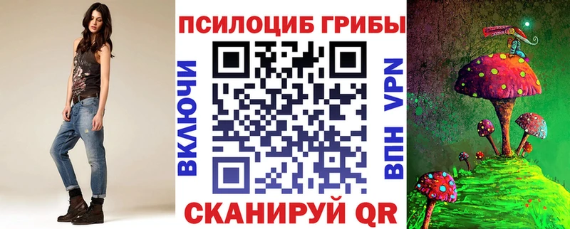 где купить   Белореченск  мориарти клад  Галлюциногенные грибы Cubensis 